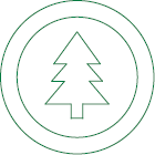 Icon of pine tree
