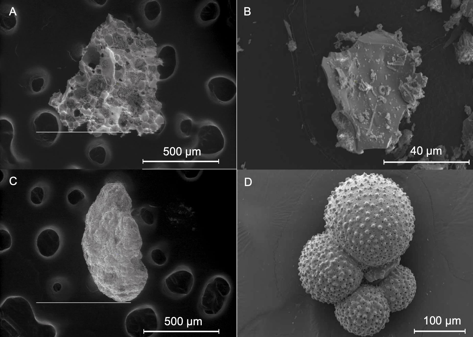 magnified particles of ash