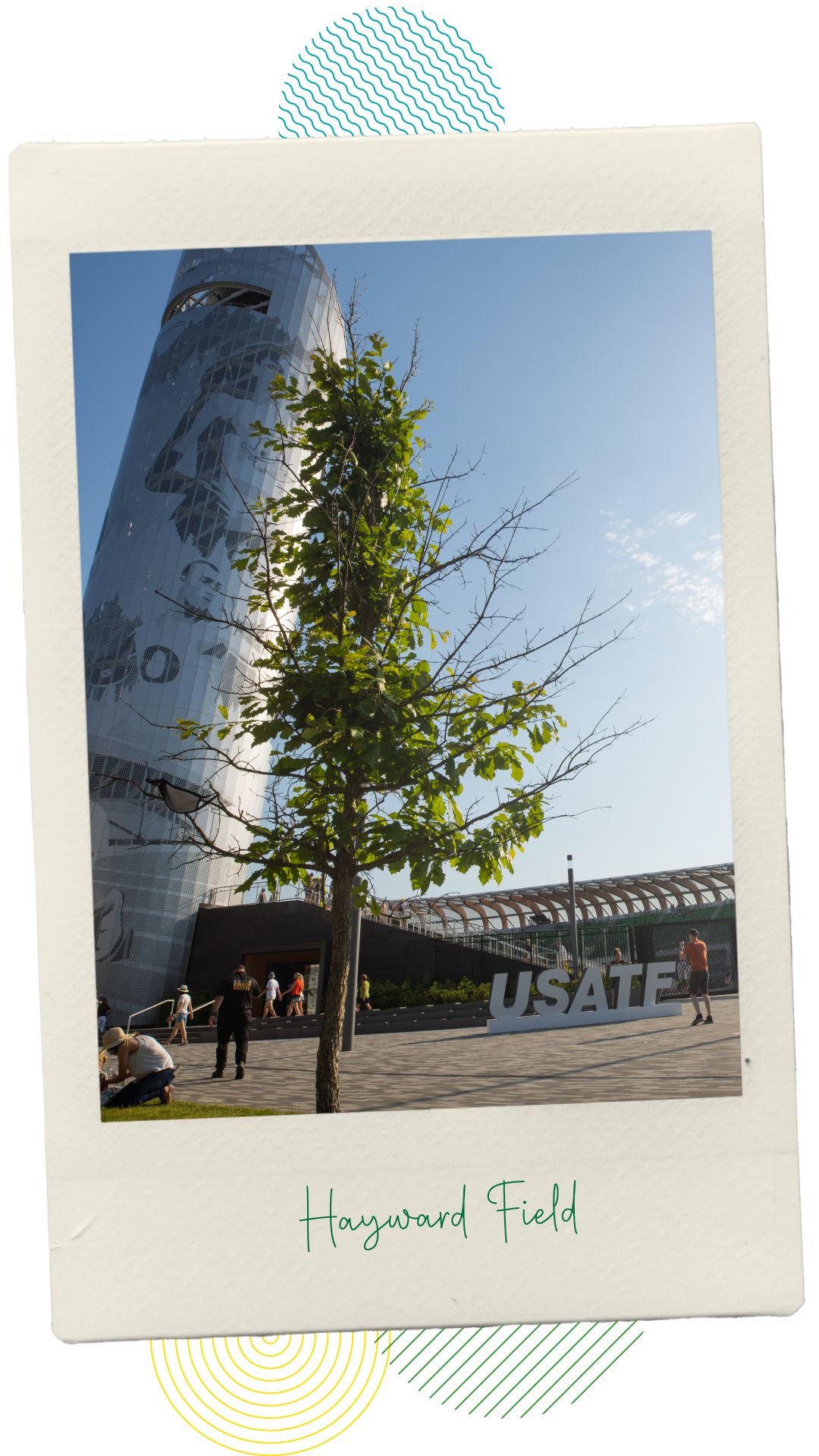 The exterior of Hayward Field and tower on a sunny day with people walking around.