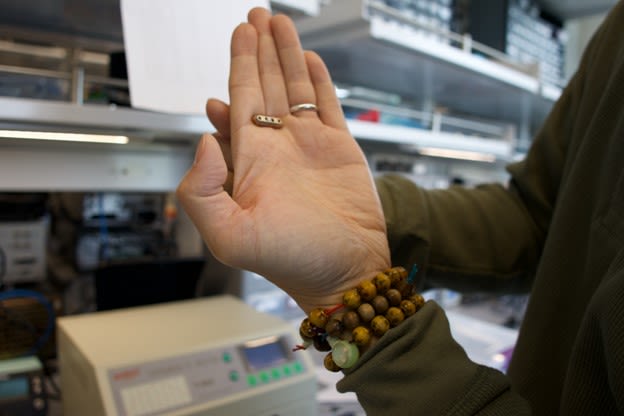 A small sensor in the palm of an open hand.